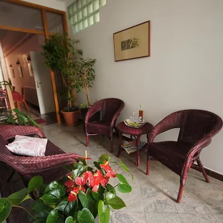 Apartman In With A Sea View, Terrace, Air Conditioning, Wifi 201-5 Brela