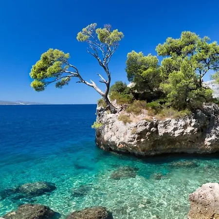 In With A Sea View, Terrace, Air Conditioning, Wifi 201-5 * Brela